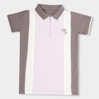 Boys Light Lavender Cotton Polo Neck Casual T-Shirt, Lilac, small