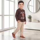 Boys Brown Cotton Blend Round Neck Regular T-Shirt, भूरा, small