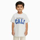 Boys Light Grey Crew Neck Casual T-Shirt, Ecru Melange, small image number null