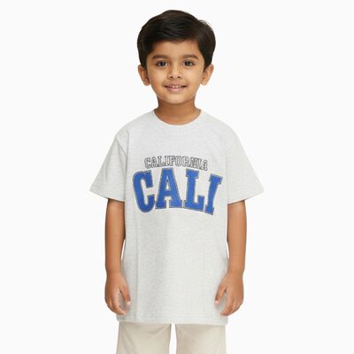 Boys Light Grey Crew Neck Casual T-Shirt