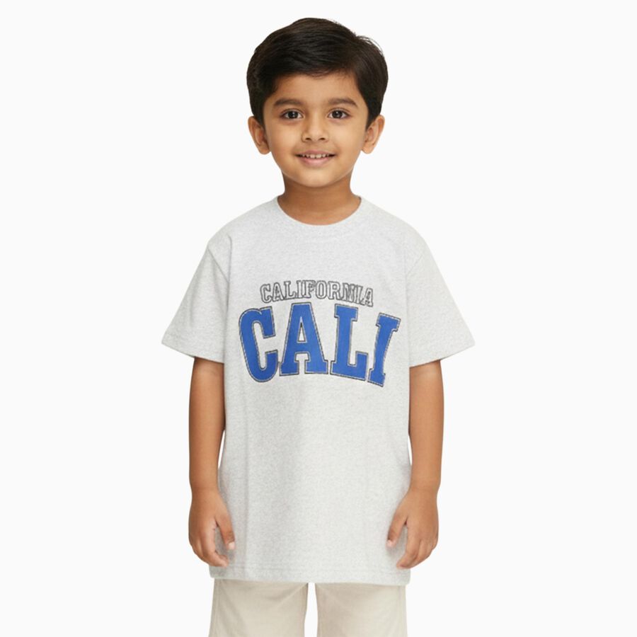 Boys Light Grey Crew Neck Casual T-Shirt, Ecru Melange, large image number null