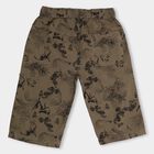 Boys' 100% Cotton Jamaican , Olive, small image number null