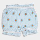 Infants' Cotton Bloomer, Light Blue, small image number null