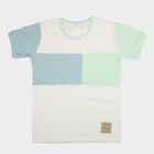 Boys' Light Green Round Neck Casual T-Shirt, Light Green, small