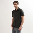 Men's Regular Collar Casual Shirt, Olive, small image number null