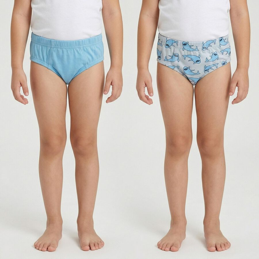 Boys Light Blue Regular Fit Solid Briefs, Light Blue, large