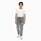 Boys Muted Grey Regular Fit Printed Jogger Jeans, Light Grey, small image number null