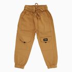 Boys Camel Brown Regular Fit Cargo Trousers, खाकी, small image number null