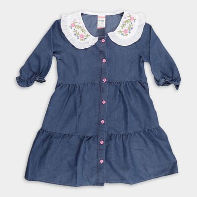 Girls' Denim Blue Embroidered Button-Down Frock