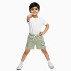 Boys Light Sage Green Printed Elastic Waist Bermuda Shorts, Light Green, small image number null