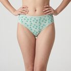 Women's Mint Green Regular Fit Printed Panty, Light Green, small