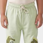 Boys' Mint Green Jogger Fit Dinosaur Pyjama, हल्का हरा, small