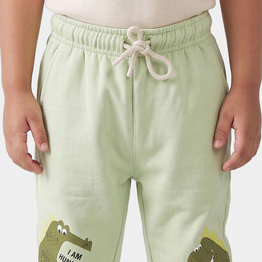 Boys' Mint Green Jogger Fit Dinosaur Pyjama, हल्का हरा, large