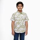 Boys' Muted Olive Green Cotton Half Sleeve Classic Collar Casual Shirt, ओलिव, small image number null
