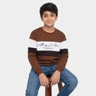 Boys' Brown Crew Neck Pullover Sweatshirt, Brown, small