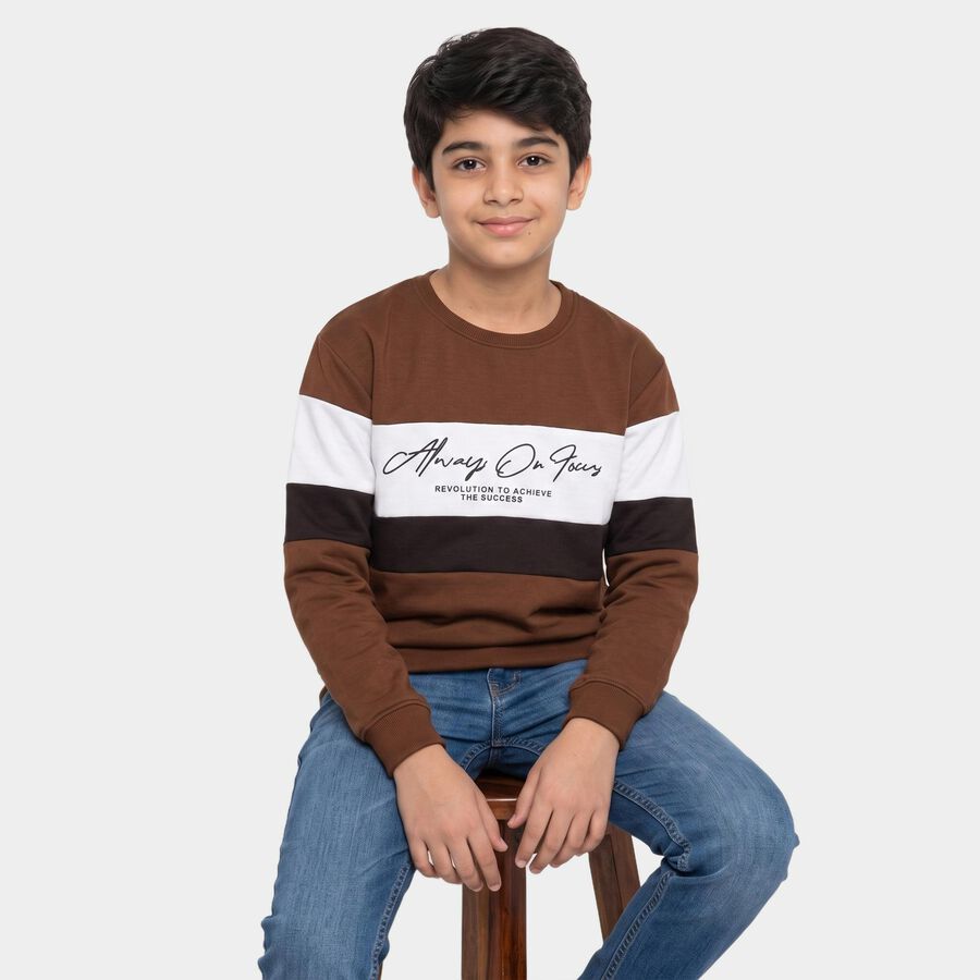 Boys' Brown Crew Neck Pullover Sweatshirt, Brown, large