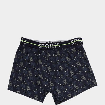 Boys' Dark Navy Regular Fit Printed Briefs