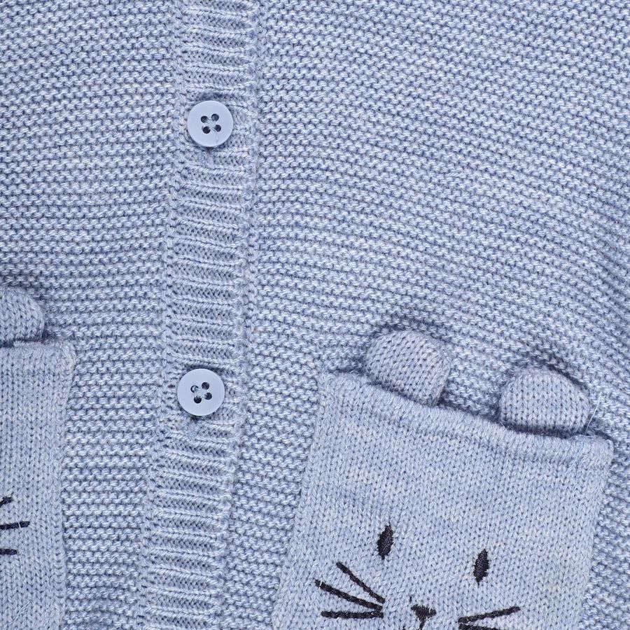 Infants Muted Baby Blue Hooded Casual Pullover, Mid Blue, large image number null