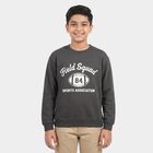 Boys' Dark Grey Crew Neck Pullover Sweatshirt, Dark Grey, small