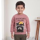 Boys' Pink Crew Neck Graphic Print Sweatshirt, गुलाबी, small