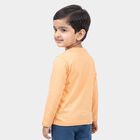 Boys Peach Crew Neck Regular Boys T-Shirt, Peach, small