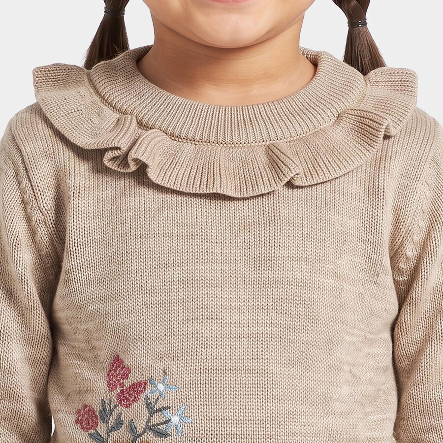 Girls Beige Crew Neck Long Sleeve Pullover, Beige, large