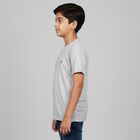Boys Light Grey Crew Neck Casual T-Shirt, Light Grey, small image number null