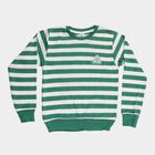 Boys Light Green Crew Neck Casual Pullover, हल्का हरा, small image number null