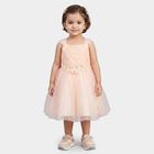 Girls' Light Pink Fit and Flare Floral Applique Party Wear Frock, Light Pink, small