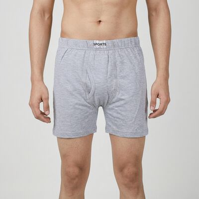 Men's Grey Regular Fit Trunks