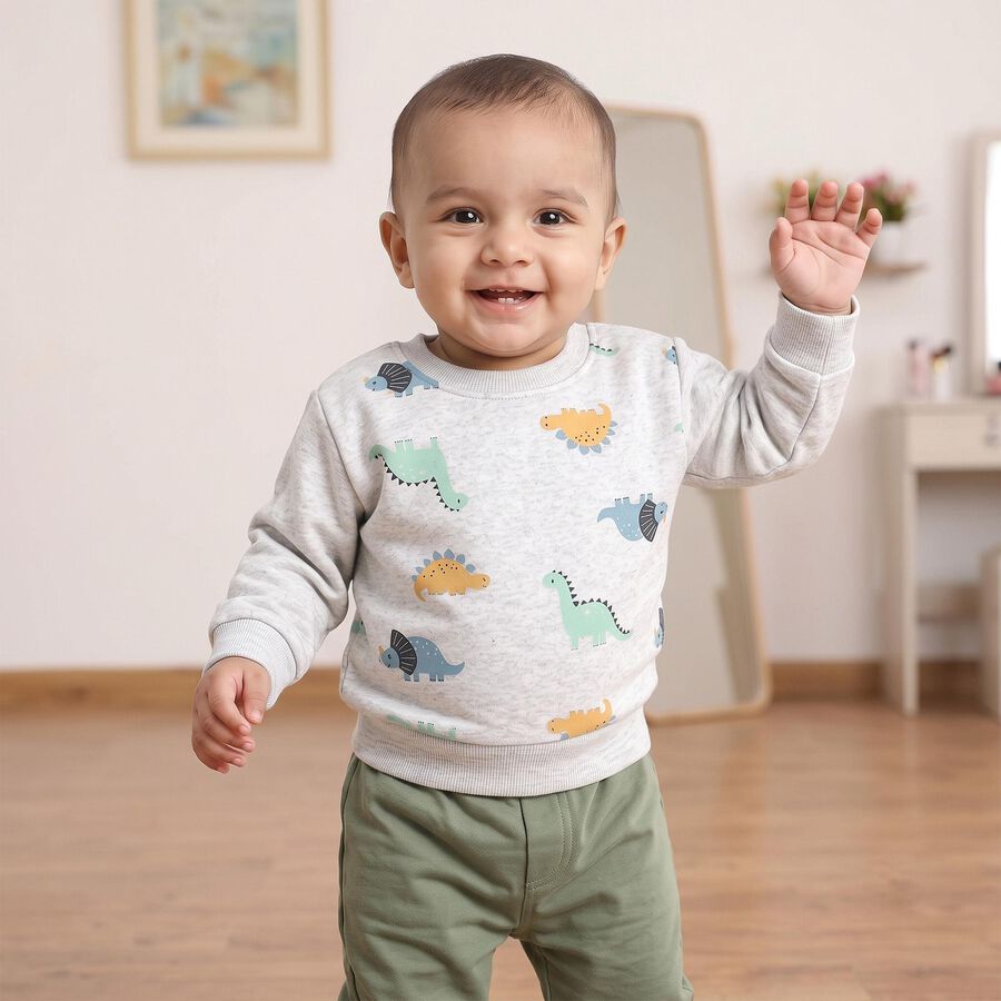 Infants' Grey Crew Neck Graphic Pullover Sweatshirt, Light Grey, large