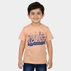 Boys Orange Round Neck Casual T-Shirt, Orange, small