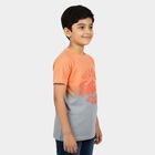 Boys Pink Cotton Round Neck Casual Boys T-Shirt, गुलाबी, small