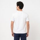 Men's White Cotton Round Neck Regular T-Shirt, White, small