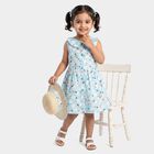 Girls' Light Blue Floral Printed Fit and Flare Frock, हल्का नीला, small