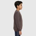 Boys Dark Chocolate Brown Crew Neck Graphic Sweatshirt, Charcoal, small image number null