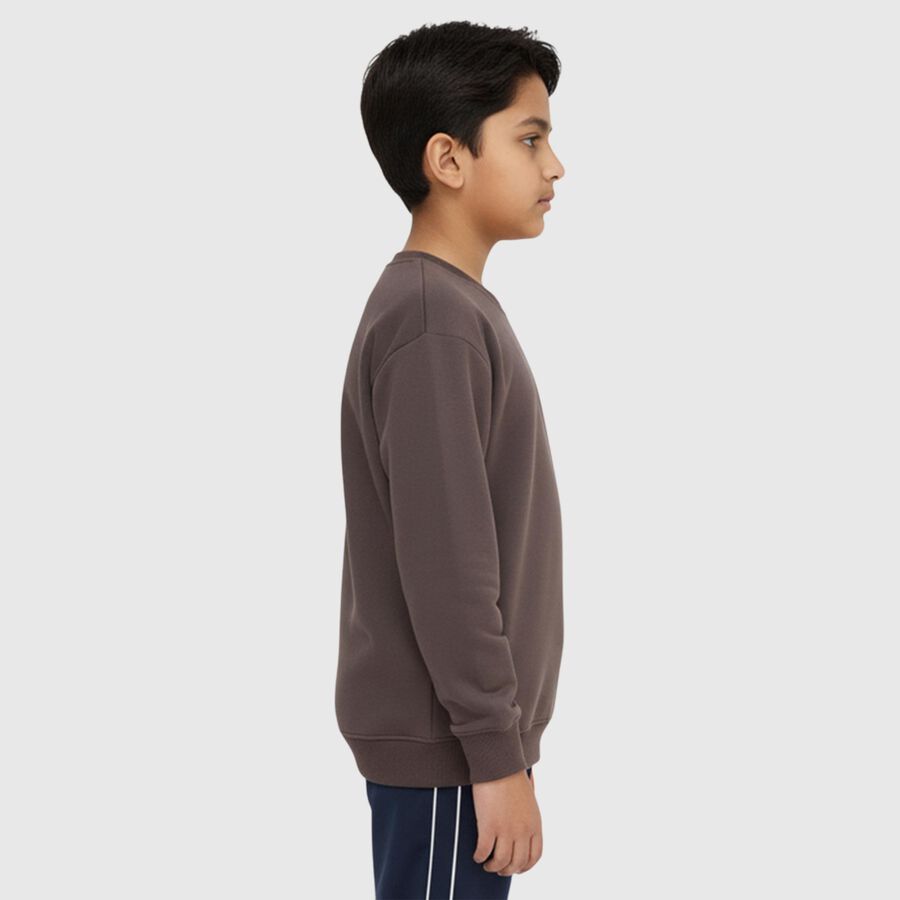 Boys Dark Chocolate Brown Crew Neck Graphic Sweatshirt, Charcoal, large image number null
