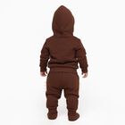 Infants' Brown Cotton Blend Hooded Dinosaur Baba Suit, Brown, small image number null