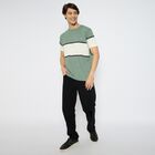 Men's Round Neck Half Sleeves T-Shirt , Light Green, small
