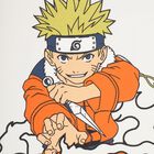 Boys' Off-White Cotton Round Neck Casual T-Shirt, Off White, small