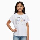 Girls' White Cotton Round Neck Embroidered T-Shirt, सफ़ेद, small