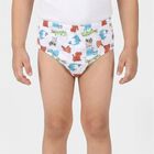 Boys Grey Regular Fit Printed Briefs, Light Grey, small