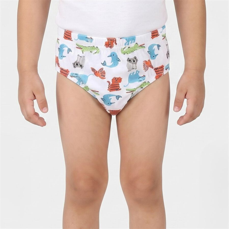 Boys Grey Regular Fit Printed Briefs, Light Grey, large