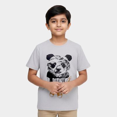 Boys Light Grey Crew Neck Casual T-Shirt