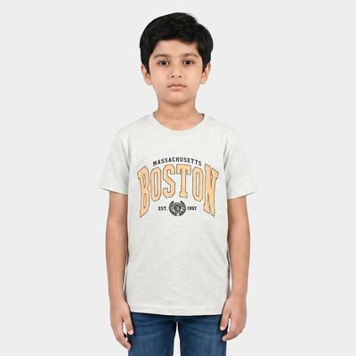 Boys Ecru Melange Crew Neck Regular Boys T-Shirt