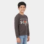 Boys' Charcoal Crew Neck Pullover Sweatshirt, चारकोल, small