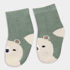 Infants Socks (Pack of 2), Olive, small image number null