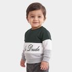 Infants Green 100% Cotton Crew Neck Pullover Sweatshirt, Dark Green, small