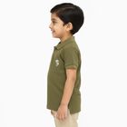 Boys Muted Olive Green Polo Neck Casual T-Shirt, Olive, small