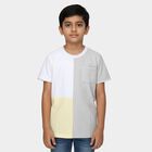 Boys Yellow Round Neck Casual Half Sleeves T-Shirt, Yellow, small